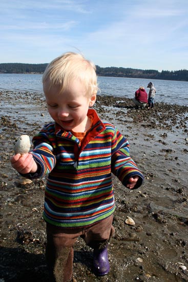 a shell